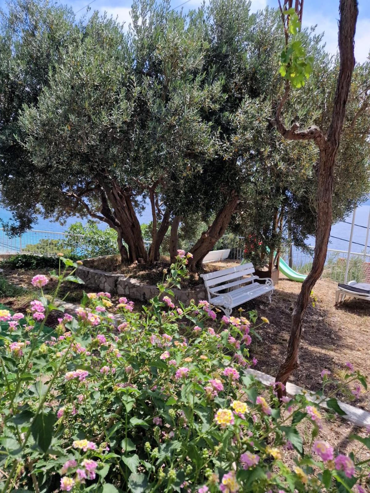 Apartment Panorama - Amazing Sea View, Newly Renovated Dugi Rat Exterior photo